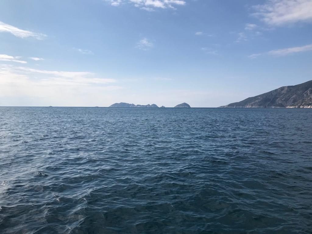 Suluada Balık Turları